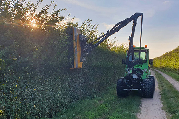 Machinaal Hagen Knippen Snoeien struiken bomen